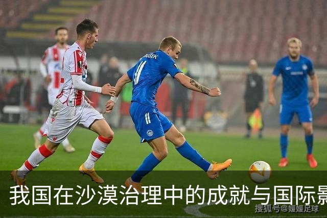 我国在沙漠治理中的成就与国际影响